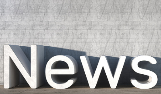 Neeracher Lauper Consulting GmbH